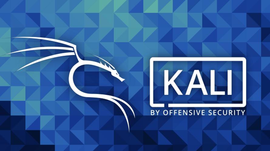 kali Linux 效率技巧